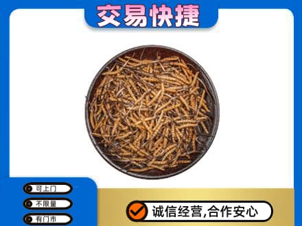 河源高价回收散虫草